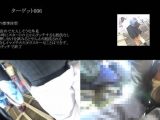 真・玄人痴漢 ﾌｧｲﾙ006（Ｂ級）