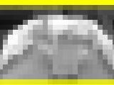 6028/「スウィング撮り・チアセクシーな歌が聞える(103)」