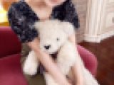 【学生・素人個撮】童顔GカップましゅまろボディJD　むっちりおっぱい揉みしだいてピストンするとビクビク痙攣してイキまくりｗ激ヤバ
