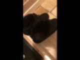 靴ぶっかけ 知り合いの女子の私物に悪戯