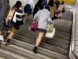 赤チェの集団