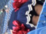 Cheer199～231のセット
