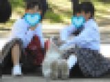 制服姿の女のコを撮影しました！！２８