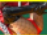 4661／「偽装撮り・キャンちゃん私家盤コレクション（21）」