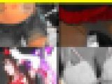 5523/「偽装撮り・キャンちゃん私家盤コレクション(71)」