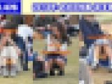 vol.476：2018年 お花見特集 第４弾