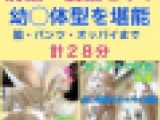 幼◯体型の姪っ子執着撮りセット