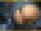 AI1346／「〔極限的画質盤〕たまらなくヒップなキャンギャル」