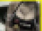 3174／「降臨撮り・キャンギャル百年愛（９）」