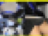 6324／「裏切り撮り・キャンちゃん危機一髪化作戦（301）～チラ篇」