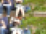 お座りお姉さん発見！！（ＦＨＤ）大変です！！パンツが見えてますよ１７１