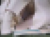 グリーンパークへようこそ158　私服座りPが見え始める季節