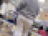 【50代の巨尻】ババアのベージュパンツの汚ねぇ爆尻と屁こき【4K】