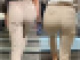 【再販】No.641「ベージュパンツの最高峰！見事な美尻のOL2選」