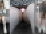 【5月6日まで顔モザなし】美白美ギャルちゃん▼丸見え！！！そして派手Ｔバック▼[4K動画][顔出し][ドアップあり]