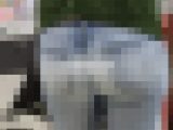 034【6/16まで半額】デニム多めの着衣尻 動画＆画像セット11名分