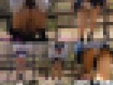 パンモロお散歩〜2024春〜②