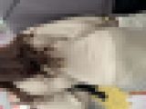 インナーがずり上がりパンティー透け透けのお姉さん(/ω＼)