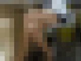 スーツOLさん＆ミニスカお姉さんの美脚に▼地帯