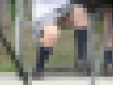 グリーンパークへようこそ214　しゃがんで座って隙間を覗こう