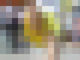 【再販】全力応援！黄色の有名フレッシュチア①　〜超絶元気いっぱいのチアリーダー達〜