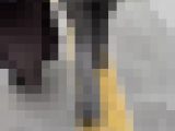 デニム女子コレクションVol.5.8のセット