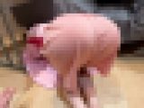 【俺の訪問介護嬢３】 スリム巨乳研修生 緊張の初現場でセクハラ洗礼 流した大粒の涙