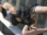 有名グラドルも極秘参戦!ビーチで開放的になって食い込み衣装で大サービス！ファン狂喜乱舞NO-7 エロカワ美女編