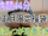 【再販】正月1時間44分 俺妹シリーズ大放出セール?