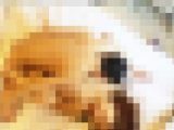 【笑顔が可愛すぎる！超清楚系JDがまさかのハメ撮り！】こんなつもりじゃなかったのに・・・