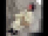【5日間連続で逆さ撮り】初登場の巨乳OL!まるで穿いてないみたいなTバックをお召しでした