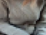 【個人撮影NTR】NO.74 愛妻に他人棒を咥えさせて口内発射/夫婦公認NTR