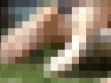 【再販】お花見OL女子のパンスト足事情