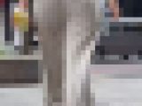 【再販】《４K・高画質》 No.1539「久々に感じたニットパンツの良さ！清楚系美女のニットパンツ」